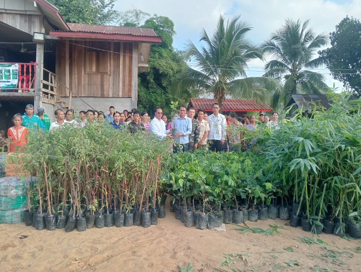 ແກນທາວ ມອບແນວພນພດແລະ ອປະກອນການຜະລດ ໃຫບານຫວຍຕ - image 1