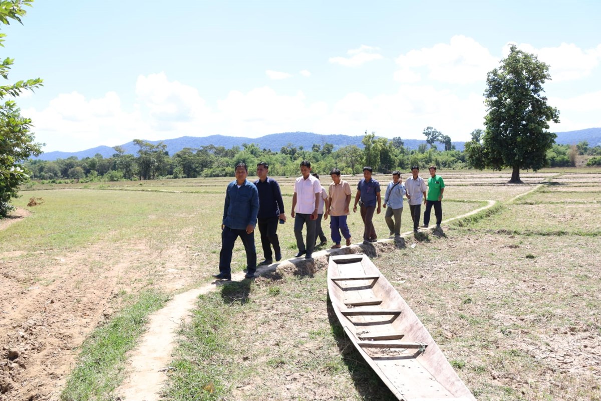 ໄຊບວທອງ ເລງຟນຟຜນ​ກະ​ທບ​ຈາກໄພພບດ ປ 2026 - image 1