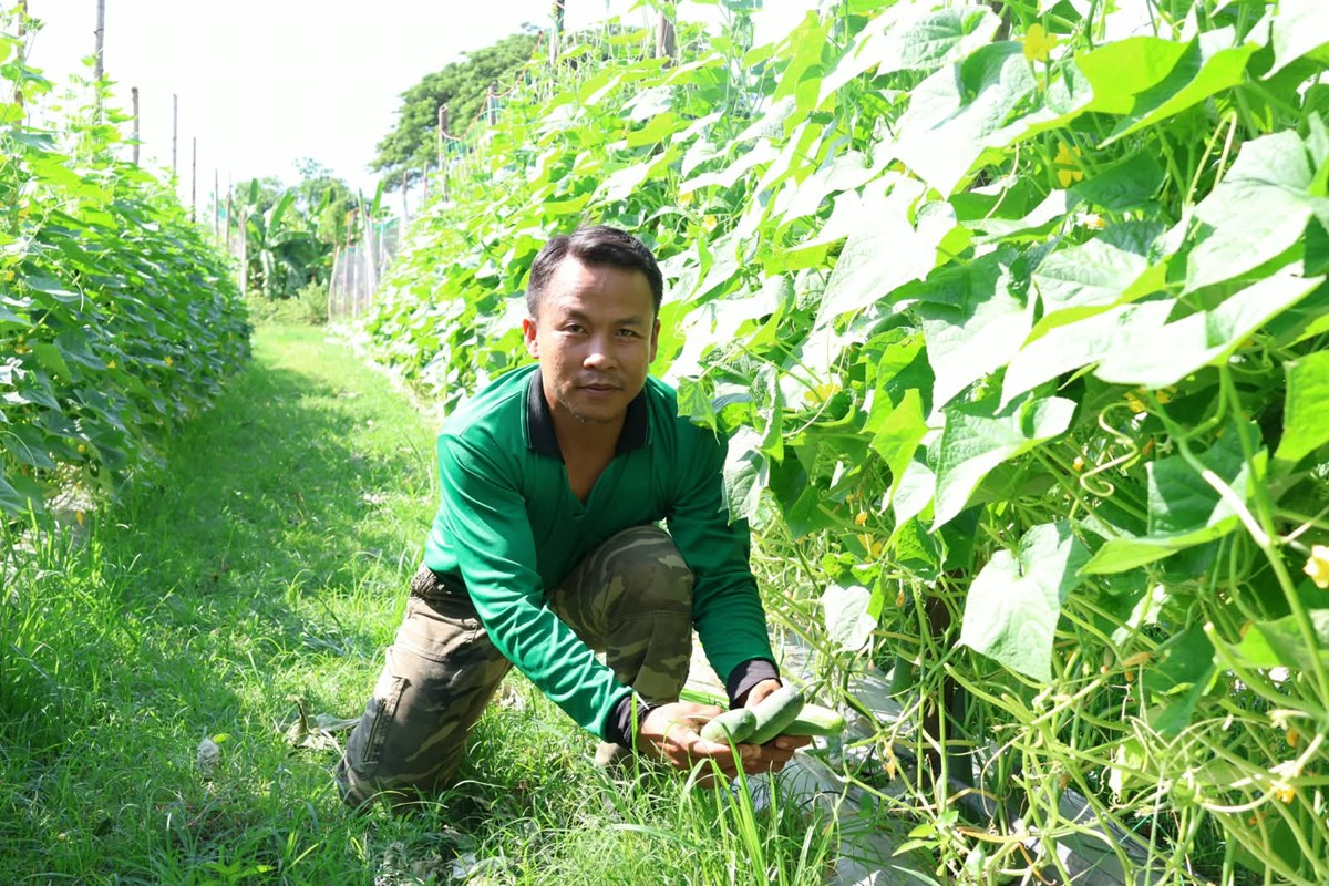 ອາຊີບຜະລິດກະສິກຳ ຕ້ອງມີຄວາມດຸໝັ່ນ ອົດທົນພ້ອມຮຽນຮູ້ເຕັກນິກໃໝ່ຕະຫຼອດ image 1 ອາຊບຜະລດກະສກຳ ຕອງມຄວາມດໝນ ອດທນພອມຮຽນຮເຕກນກໃໝຕະຫອດ - image 1