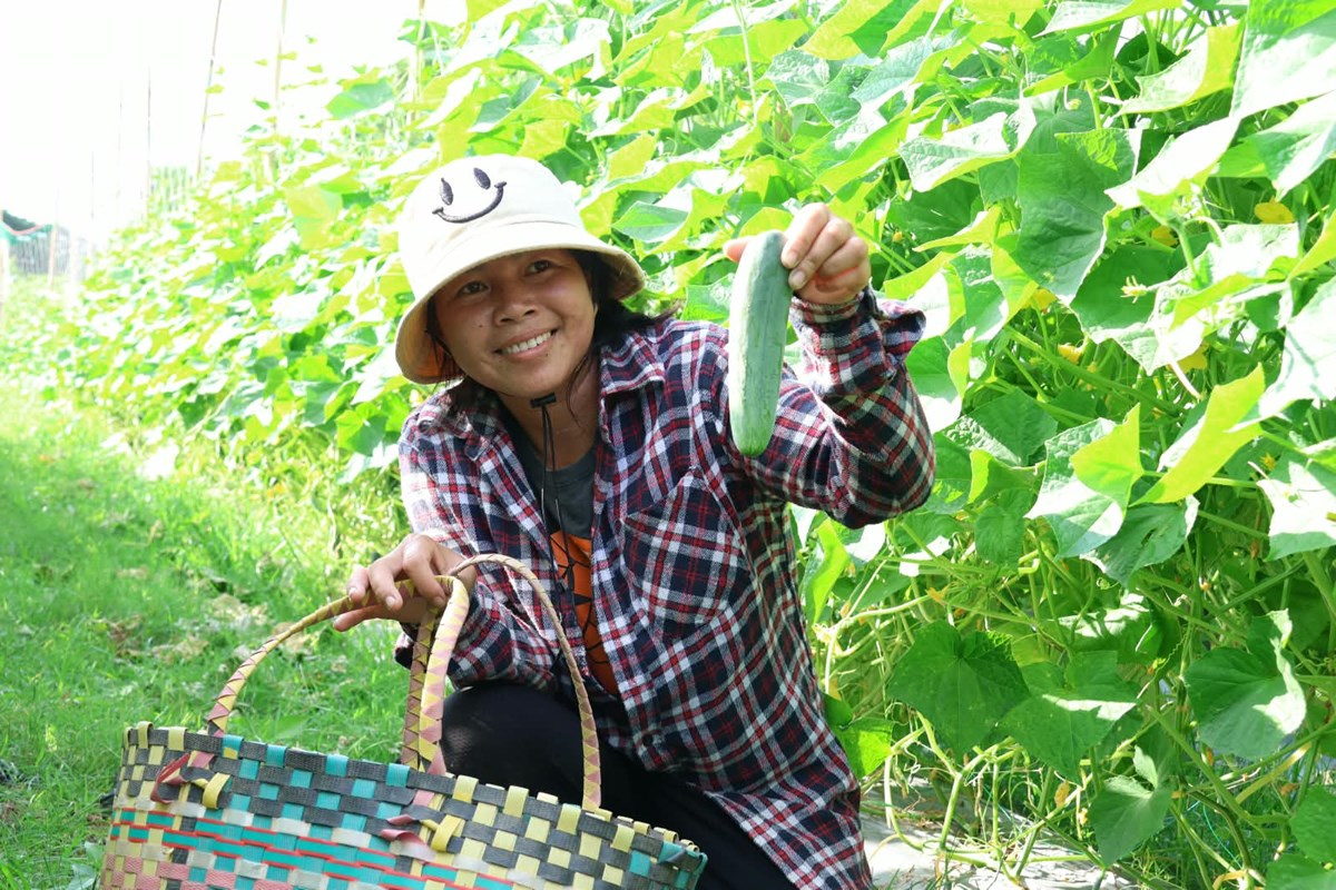 ອາຊີບຜະລິດກະສິກຳ ຕ້ອງມີຄວາມດຸໝັ່ນ ອົດທົນພ້ອມຮຽນຮູ້ເຕັກນິກໃໝ່ຕະຫຼອດ image 2 ອາຊບຜະລດກະສກຳ ຕອງມຄວາມດໝນ ອດທນພອມຮຽນຮເຕກນກໃໝຕະຫອດ - image 2