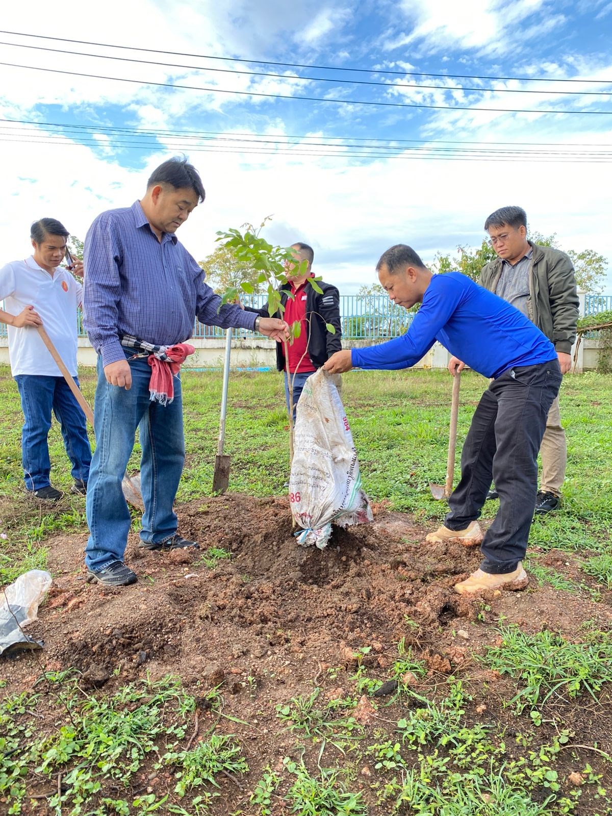 ຄອສພ ຈດກດຈະກຳປກຕນໄມ ເນອງໃນວນປກຕນໄມແຫງຊາດ ແລະ ວນເດກນອຍສາກນ - image 1