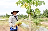 ນັກທຸລະກິດໜຸ່ມຕັ້ງໃຈຢາກປ່ຽນແປງພື້ນທີ່ແຫ້ງແລ້ງກາຍມາເປັນພື້ນທີ່ສວນທີ່ອຸດົມສົມບູນ