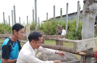 ພິທີເປີດນໍ້າ ວັນຊົນລະປະທານ ແລະ ວັນສັກຢາປ້ອງກັນສັດແຫ່ງຊາດ