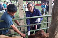 ປາກກະດິງ ເປີດຂະຂວນການສັກວັກຊີນປ້ອງກັນພະຍາດສັດ ປະຈຳປີ 2025