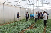 5 ປີ ເມືອງທ່າແຕງ ຈະສູ້ຊົນຜະລິດເຂົ້າໃຫ້ໄດ້ 108,000 ກວ່າໂຕນ