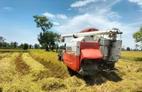 ຄໍາມ່ວນເກັບກ່ຽວເຂົ້ານາປີສໍາເລັດ 100%