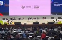 COP30ຮັບຮອງເອົາສັນ​ຍາ​ການເຄື່ອນ​ໄຫວ​ດ້າ​ນ​ດິນ​ຟ້າ​ອາ​ກາດສະບັບໃໝ່