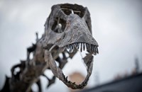 ນັກຄົ້ນຄວ້າຄົ້ນພົບຮັງໄດໂນເສົາທີ່ມີໄຂ່ອາຍຸປະມານ 150 ລ້ານປີ