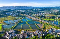 ຍຸດທະສາດການພັດທະນາຊົນນະບົດໃຫ້ຈະເລີນຮຸ່ງເຮືອງຂອງຈີນຈະເປັນບົດຮຽນທີ່ເປັນປະໂຫຍດໃຫ້ແກ່ປະເທດກຳລັງພັດທະນາ