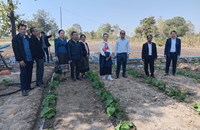 ການປູກພືດລະດູແລ້ງຢູ່ແຂວງຄໍາມ່ວນຄາດຈະໃຫ້ສໍາເລັດໃນທ້າຍເດືອນກຸມພານີ້