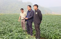 ການນໍາເມືອງຫຼວງນໍ້າທາ ລົງຕິດຕາມຊຸກຍູ້ການປູກພືດລະດູແລ້ງ