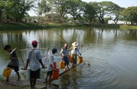 ມຽນມາ ປະກາດຫ້າມຫາປາ ໃນໄລຍະວາງໄຂ່