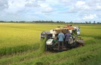 3 ເດືອນຕົ້ນປີ ການສົ່ງອອກຜະລິດຕະພັນກະເສດ ແລະ ສິນໃນນໍ້າ ຂອງຫວຽດນາມ ບັນລຸ 16,69 ຕື້ໂດລາ