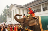 ແຫ່ຊ້າງຮຽງເກີຍ ຢູ່ນະຄອນ ຫຼວງພະບາງປີນີ້ຈັດຂຶ້ນຢ່າງຄຶກຄື້ນ