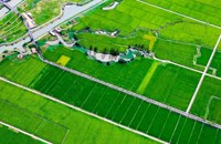 ຈີນ​ ມີ​ເຮືອ​ບິນ​ບໍ່​ມີ​ຄົນ​ຂັບ​ດ້ານ​ກະ​ສິ​ກຳຫຼາຍກວ່າ 300,000 ​ລຳ