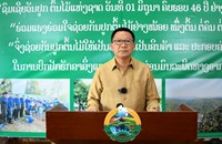 ທົ່ວປະເທດ ຈະປູກຕົ້ນໄມ້ໃນເນື້ອທີ່ ປະມານ 7,300 ກວ່າເຮັກຕາ