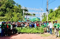 ພັນໄມ້ທີ່ມີຄຸນຄ່າຫຼາຍກວ່າ 400 ຕົ້ນ ຖືກນໍາມາປູກຕາມເສັ້ນທາງທ່ອງທ່ຽວຍ່າງປ່າ ໃນປ່າສະຫງວນແຫ່ງຊາດນໍ້າຫ້າ