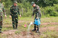 ກົມໃຫຍ່ເສນາທິການກອງທັບ ຈັດພິທີປູກຕົ້ນໄມ້ ແລະ ປ່ອຍປາ