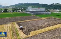 ຈີນ ສຳ​ເລັດ​ການ​ເກັບ​ກ່ຽວ​ເຂົ້າ​​ຫວີດ ​ເກືອບ 60%