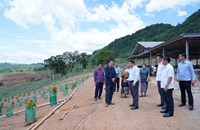 ການນໍາແຂວງຫຼວງພະບາງ ຢ້ຽມຢາມໂຄງການປູກຕົ້ນໂກໂກ້ ຢູ່ເມືອງຈອມເພັດ