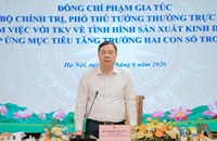 ຫວຽດນາມ ລົງ​ເລິກພັດ​ທະ​ນາ​ອຸດ​ສາ​ຫະ​ກຳ​ປຸງ​ແຕ່ງ ​ແຮ່​ທາດ​ຍຸດ​ທະ​ສາດ
