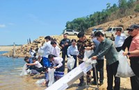 ອັດຕະປື ປ່ອຍປາ 1 ແສນກວ່າ​ໂຕ ລົງອ່າງເກັບນໍ້າເຂື່ອນນ້ຳກົງ 1