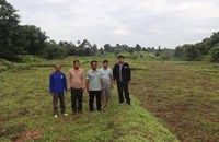 ຊາວ​ນາ​ເມືອງ​ບໍ່​ແຕນໄດ້​ຮັບ​ຜົນ​ກະ​ທົບ​ຈາກ​ໄພ​ທຳ​ມະ​ຊາດ-ສັດ​ຕູ​ພືດ