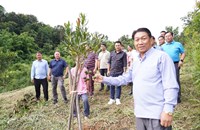 ພະ​ນັກ​ງານ​ບຳ​ນານ ​ຜູ້​ທົດລອງປູກໝາກ ກາດີເມຍ