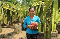 ຈາກ​ການ​ນຳ​ຂັ້ນ​ສູງ​​ຂອງ​ແຂວງກ້າວ​ສູ່​​ຜະ​ລິດກະ​ສິ​ກຳປອດສານພິດ ຫຼັງ​ບຳ​ນານ