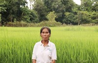ຈາກຄອບຄົວທຸກຍາກ ສູ່ຄອບຄົວມີລາຍຮັບ ແລະ ເພິ່ງພາຕົນເອງ ດ້ວຍການປູກເຂົ້າ
