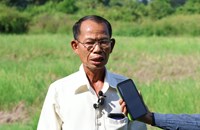 ເນື້ອທີ່ກະສິກຳໃນທົ່ວເມືອງຫີນບູນເສຍຫາຍກວ່າ 3,519 ເຮັກຕາຈາກ​ໄພ​ນ້ຳ​ຖ້ວມ