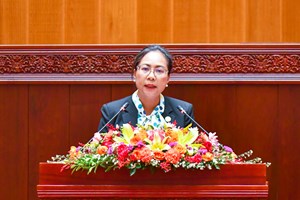 ສະເໜີປັບປຸງກົດໝາຍວ່າດ້ວຍ ການປົກປັກຮັກສາສິ່ງແວດລ້ອມ