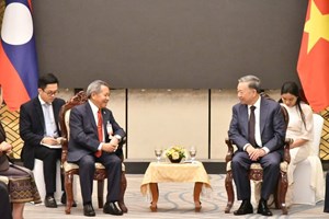 ປະ​ທານ​ສະ​ມາ​ຄົມ​ມິດ​ຕະ​ພາບ ລາວ-ຫວຽດນາມ ຂັ້ນສູນກາງ ເຂົ້າຢ້ຽມຂໍ່ານັບ ປະທານປະເທດ ຫວຽດນາມ