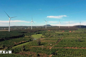 ປີ 2025 ການຜະລິດໄຟຟ້າທົດແທນທົ່ວໂລກຄາດວ່າຈະລື່ນກາຍພະລັງງານຖ່ານຫີນ