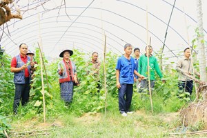 ກະສິກໍາ ມີບົດບາດສໍາຄັນໃນການຊຸກຍູ້ເສດຖະກິດ ໄລຍະ 6 ເດືອນຕົ້ນປີ ຂອງແຂວງວຽງຈັນ