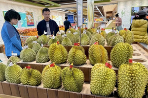 ມາເລເຊຍ ສົ່ງອອກໝາກຖົ່ວລຽນສົດ ໄປ ຈີນ