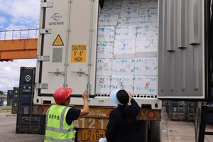 ທາງ​ລົດ​ໄຟ​ຈີນ-ລາວກາຍ​ເປັນ​ເສັ້ນທາງ​ຄຳ​ດ້ານ​ການ​ຂົນ​ສົ່ງ​ຜັກ​ແລະ​ໝາກ​ໄມ້​ສົດ