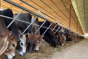 ການຂະຫຍາຍຕົວຂອງວຽກລ້ຽງສັດ ແລະ ການປະມົງ ຢູ່ແຂວງໄຊຍະບູລີ