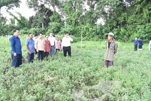 ເຈົ້າແຂວງສະຫວັນະເຂດ ເນັ້ນໃຫ້ປະຊາຊົນບ້ານນາໂພ, ບ້ານສົ້ມປ່ອຍປູກພືດຜັກໃຫ້ພຽງພໍກັບຄວາມຕ້ອງການຂອງຕະຫຼາດ.