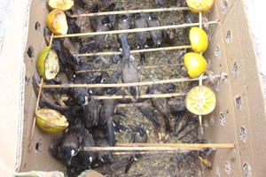 ເຈົ້າເມືອງອຸທຸມພອນ ປ່ອຍນົກທີ່ຍຶດໄດ້ຄືນສູ່ປ່າທໍາມະຊາດ