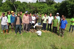 ເມືອງໄຊພູທອງ ສ້າງຂະບວນການປູກຕົ້ນແກ່ນຕານ 700 ກວ່າແກ່ນ.