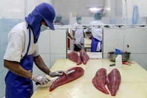  ອິນໂດເນເຊຍ ເລີ່ມສົ່ງອອກ ປາທູນາກະປ໋ອງ ໄປຍັງປະເທດການາດາ