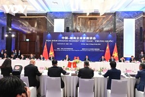 ທ່ານນາຍົກລັດຖະມົນຕີຫວຽດນາມແລະ ທ່ານນາຍົກລັດຖະມົນຕີຈີນເຂົ້າຮ່ວມກອງປະຊຸມສົນທະນາ  ວິສາຫະກິດ ຫວຽດນາມ - ຈີນ