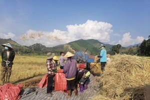 ເມືອງແບງ ຂຸ້ນຂ້ຽວເກັບກ່ຽວເຂົ້ານາປີ ປະເພດເຂົ້າດໍ