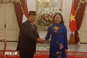 ຫວຽດນາມ - ອິນໂດເນເຊຍ ສູ້ຊົນນຳວົງເງິນການຄ້າສອງຝ່າຍບັນລຸ 18 ຕື້ໂດລາ