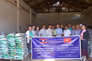 ພະແນກກະສິກໍາ ແລະ ພັດທະນາຊົນນະບົດແຂວງບິງດິ້ງ ມອບແນວພັນ ໃຫ້ກັບແຂວງສາລະວັນ