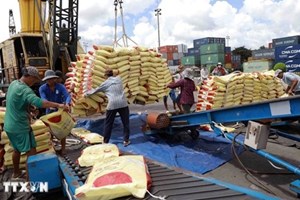 ການສົ່ງອອກເຂົ້າສານຂອງຫວຽດນາມ ໃນປີ 2024 ຄາດວ່າຈະບັນລຸສະຖິຕິໃໝ່