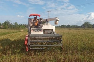 ຊາວນາທົ່ວເມືອງໜອງບົກເກັບກ່ຽວເຂົ້ານາປີສໍາເລັດ 40%