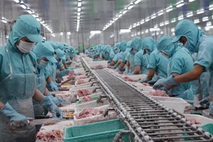 ມູນຄ່າການສົ່ງອອກສິນໃນນ້ຳ ຫວຽດນາມ ກັບຄືນສູ່ລະດັບ 1 ຕື້ໂດລາ