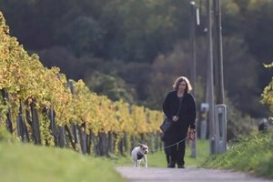 ໂອຕຣິດ, ເຢຍລະມັນ ແລະ ສະວິດ ອຸນຫະພູມຈະສູງແບບບໍ່ເຄີຍມີມາກ່ອນ